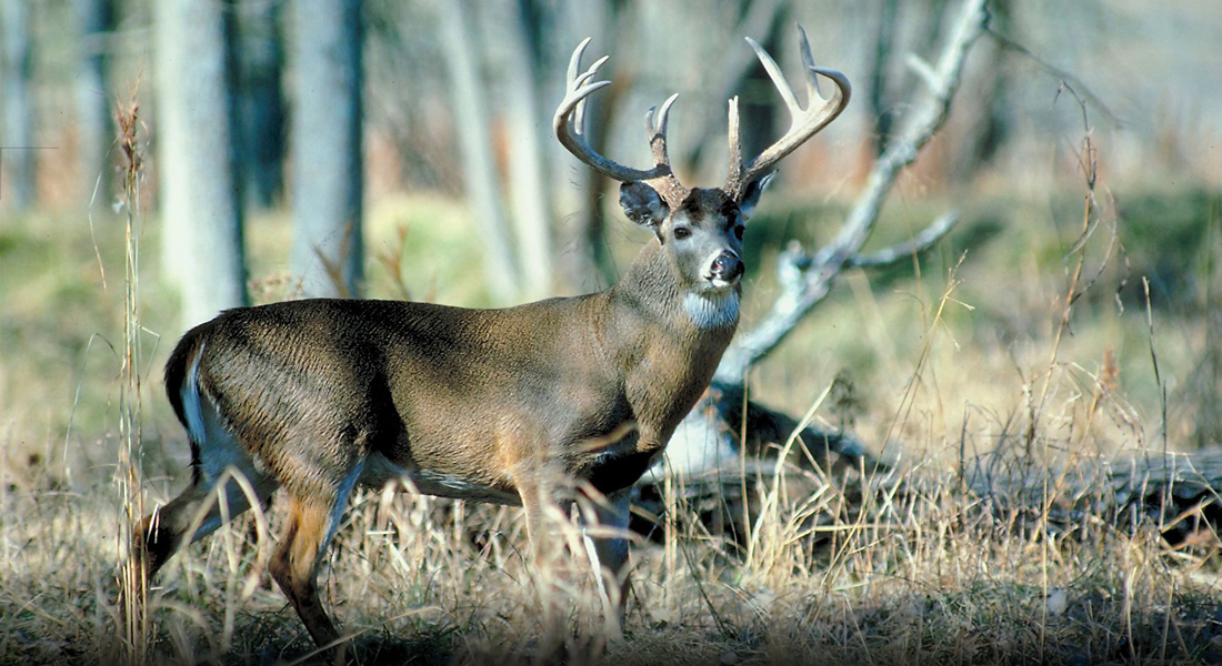 Hunting Supplies for Sale in Columbus, OH
