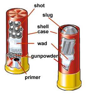 shotshell.gif