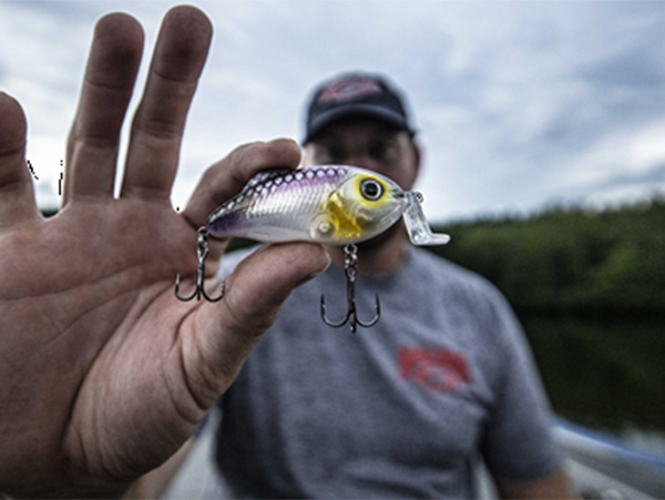 Strike King Hybrid Hunter Jr