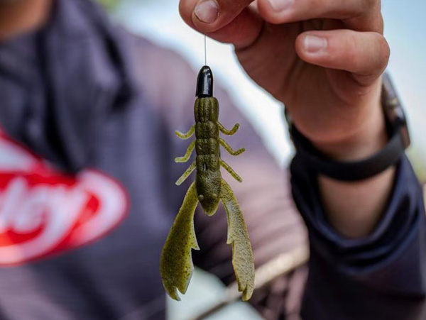 Berkley Powerbait Maxscent Chigger Craw