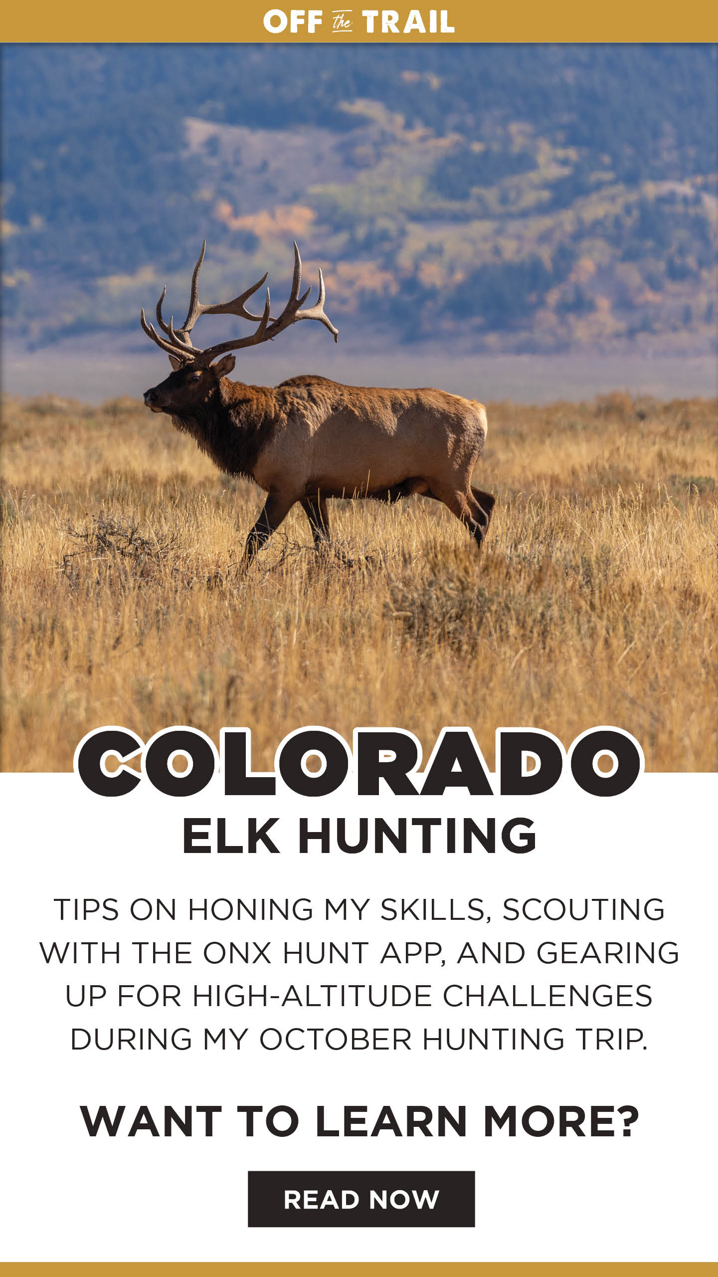 Off the Trail Blog - Colorado Elk Hunt