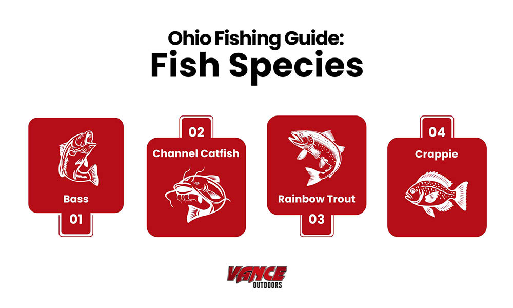 Ohio fishing guide - fish species