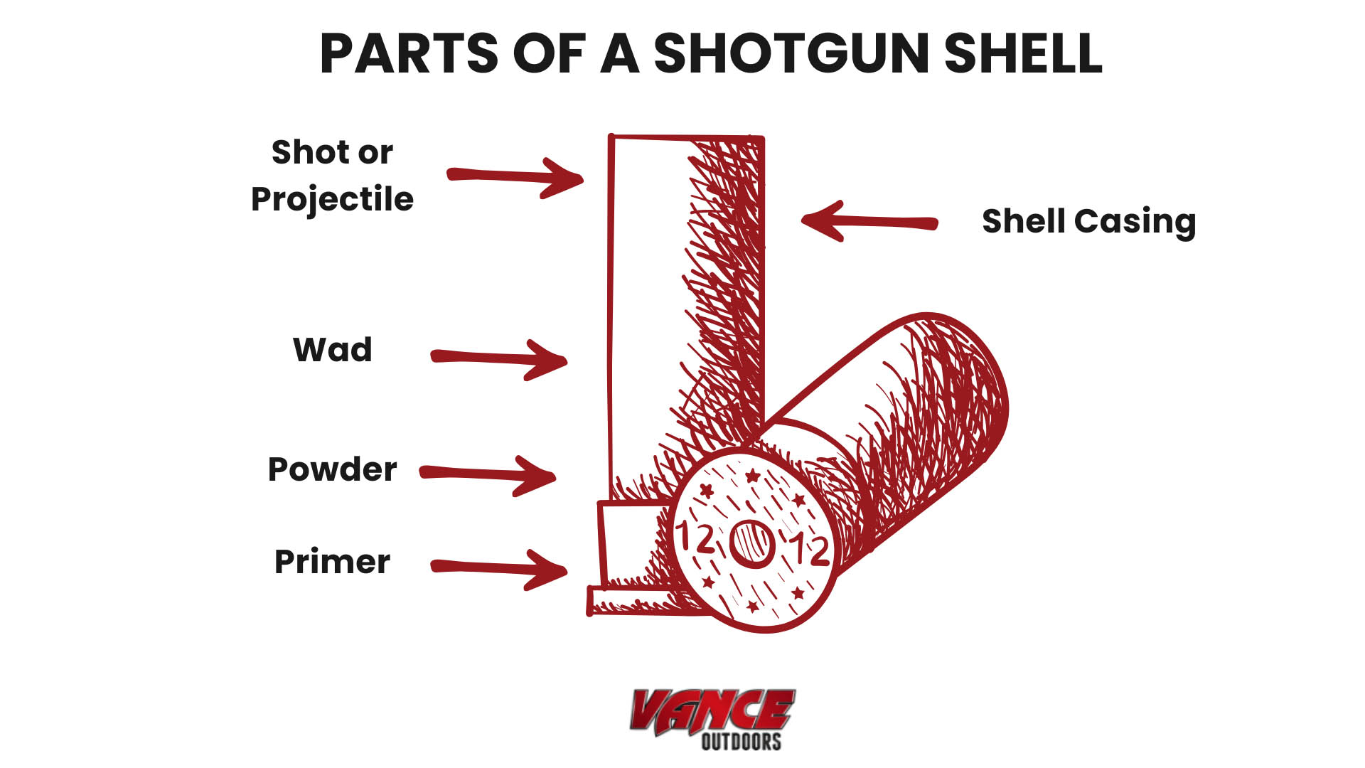 Parts of a shotgun shell